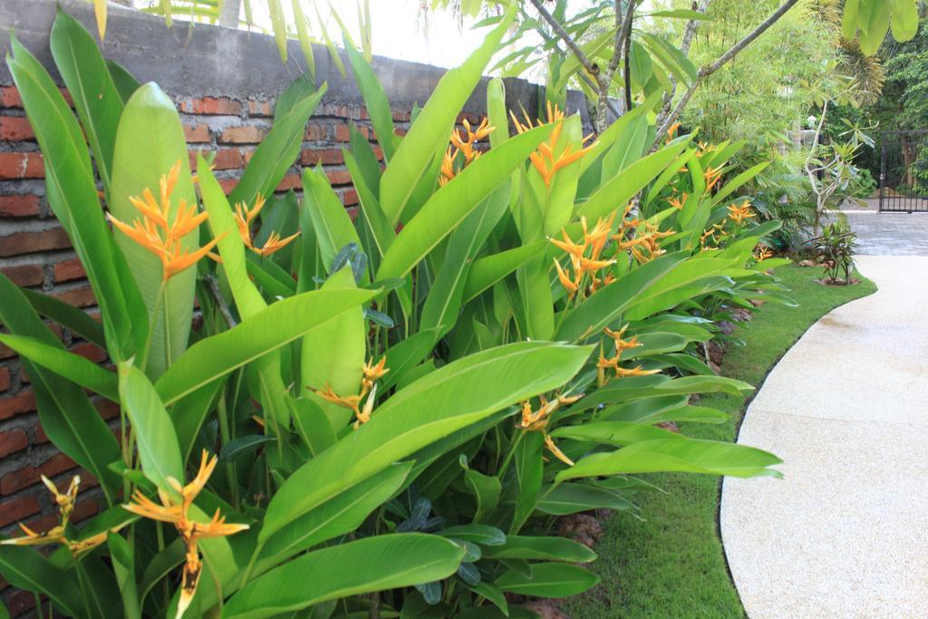 Albany Home Stay Kuta  Kültér fotó